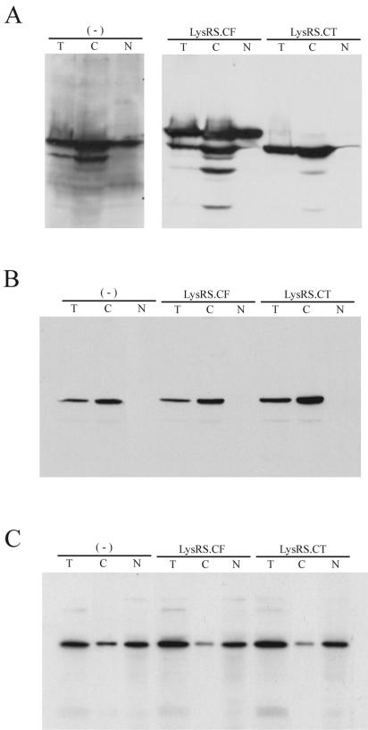 FIG. 5.