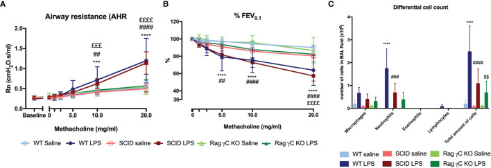 Figure 5