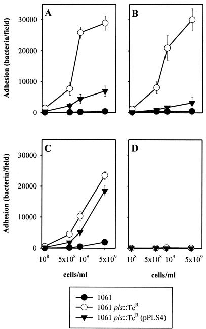 FIG. 5