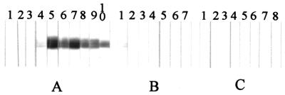 FIG. 5.