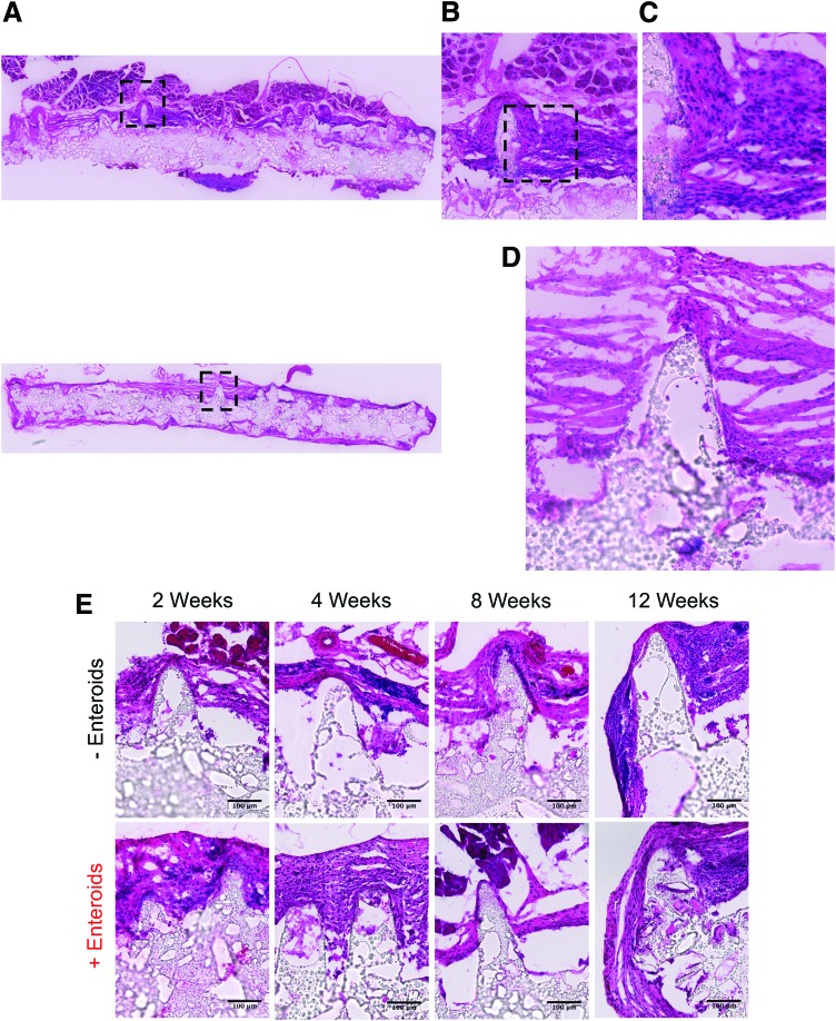 FIG. 7.