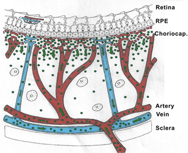 Fig. 9