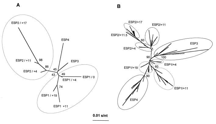 FIG. 6