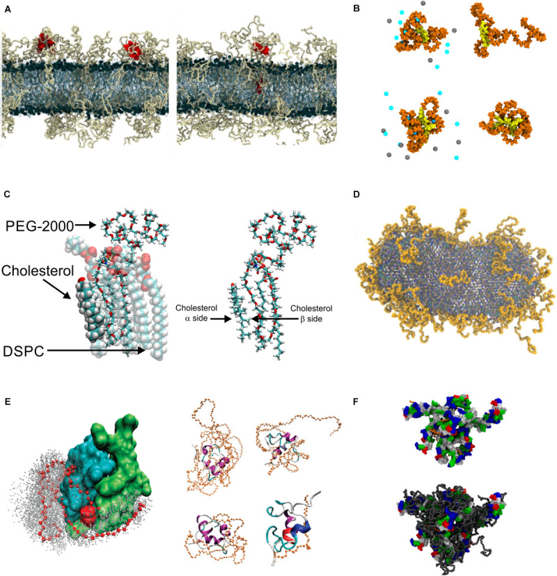 FIGURE 6