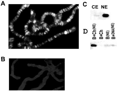 FIG. 5