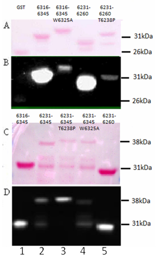 Fig. 5