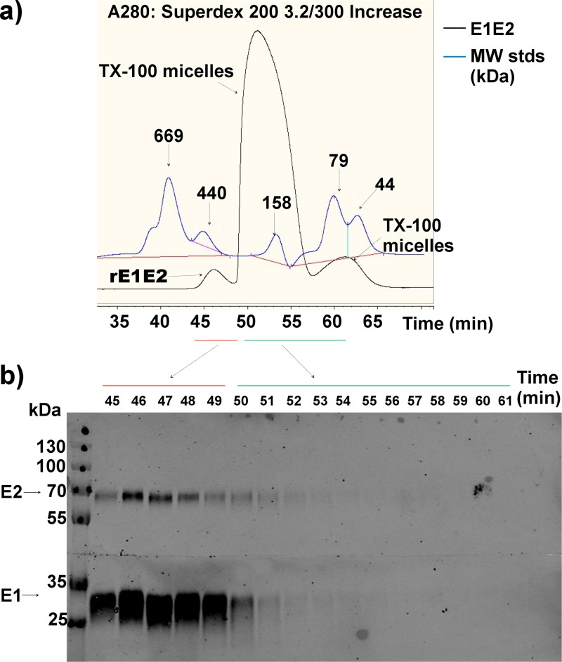 FIG 8