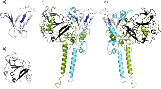 FIG 3