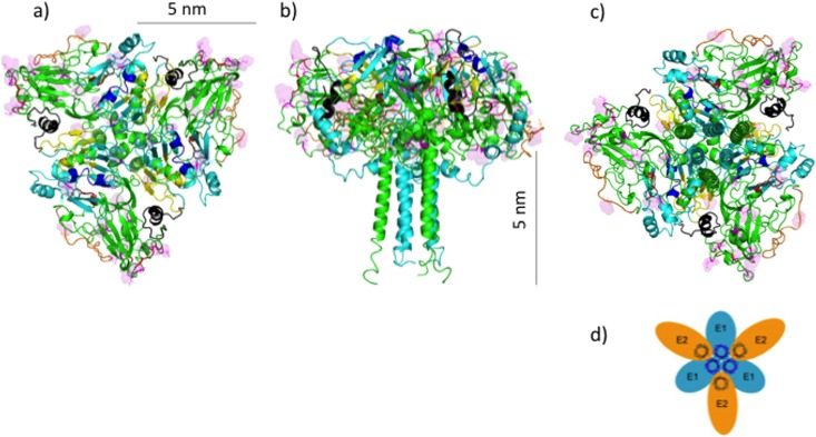 FIG 6