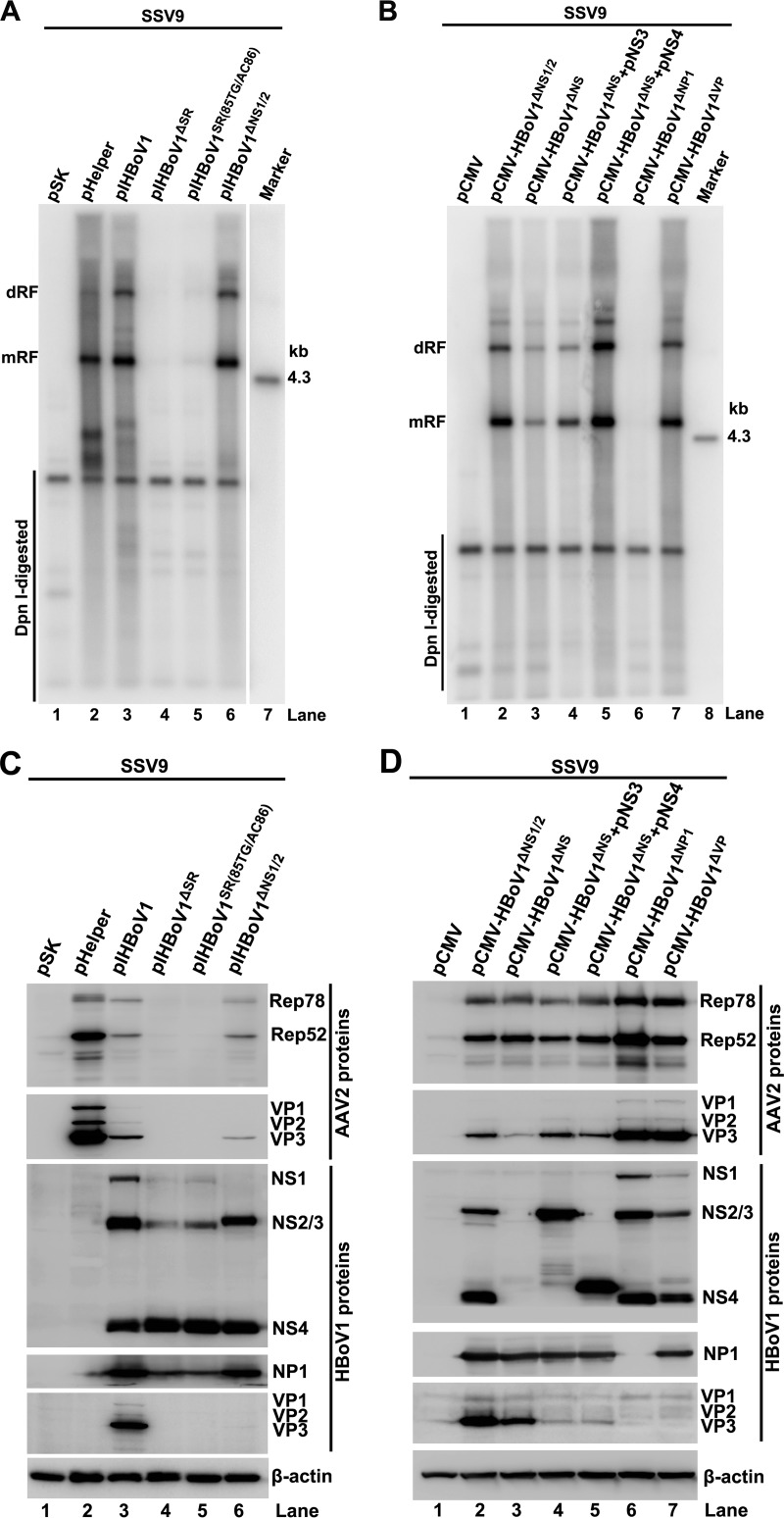 FIG 3