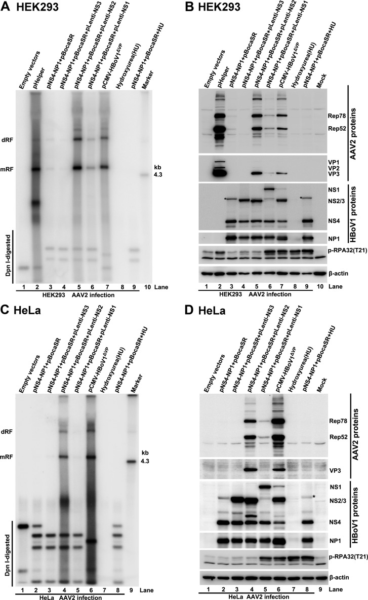 FIG 6