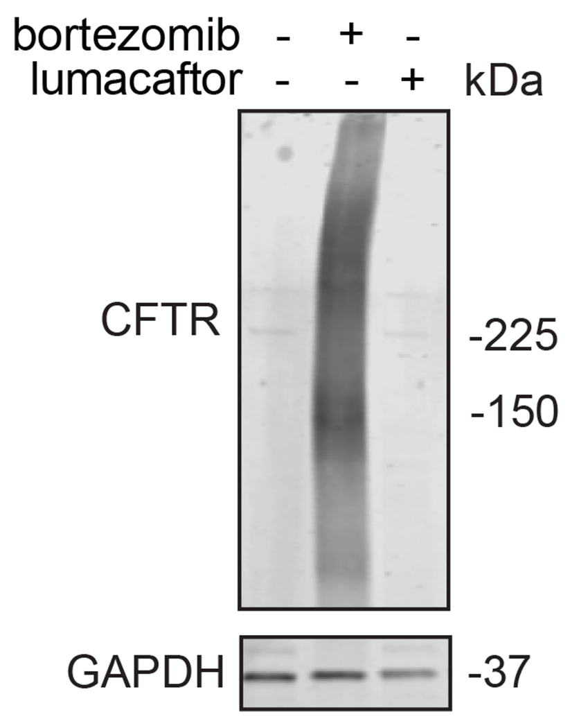 Extended Data Figure 11.