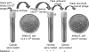 Fig. 1.