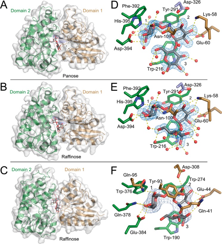 FIGURE 4.