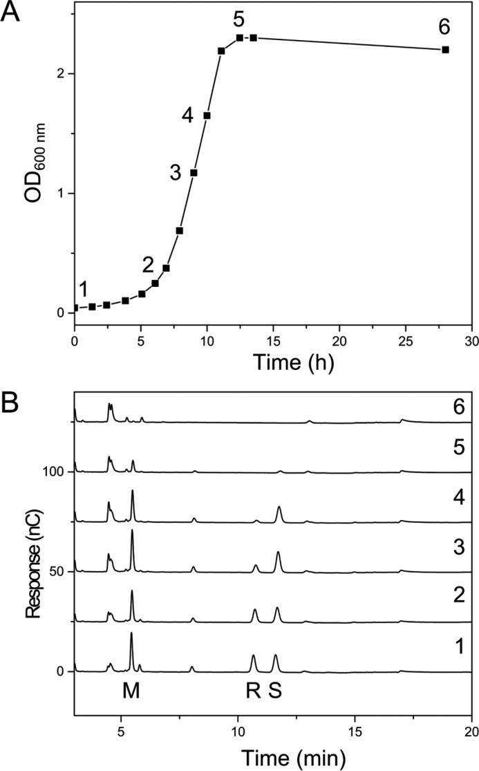 FIGURE 7.