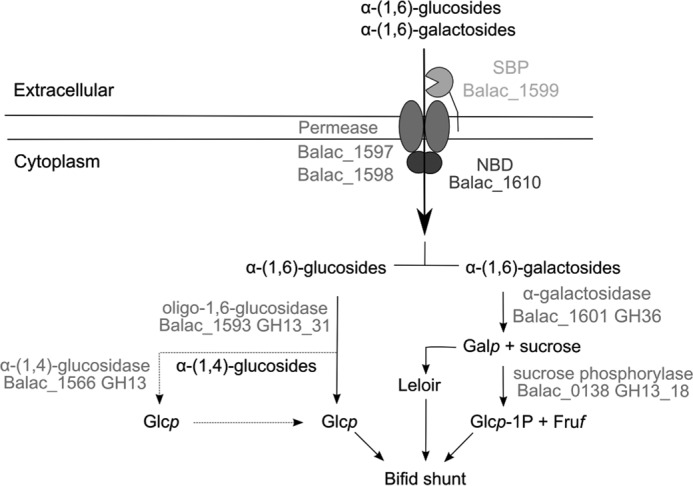 FIGURE 9.