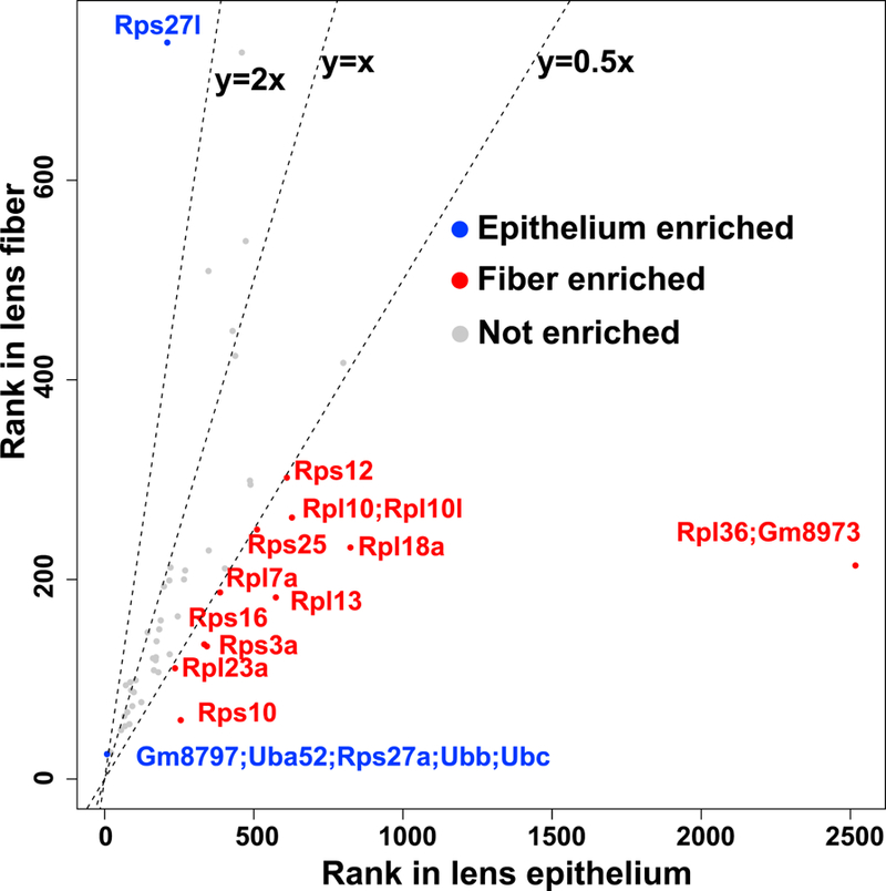 Fig. 9.