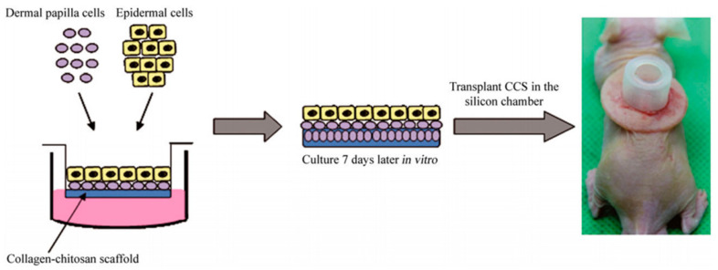 Figure 7