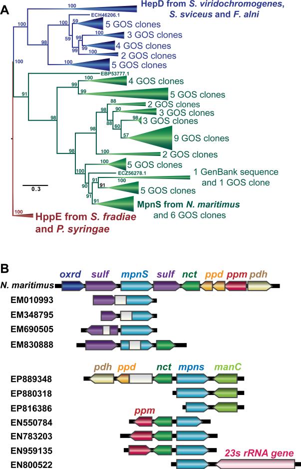 Fig. 3