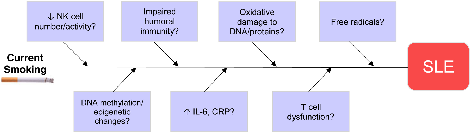 Figure 2: