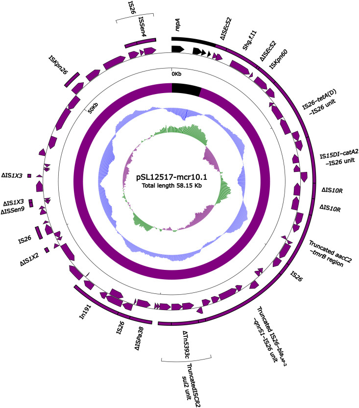 FIG 1