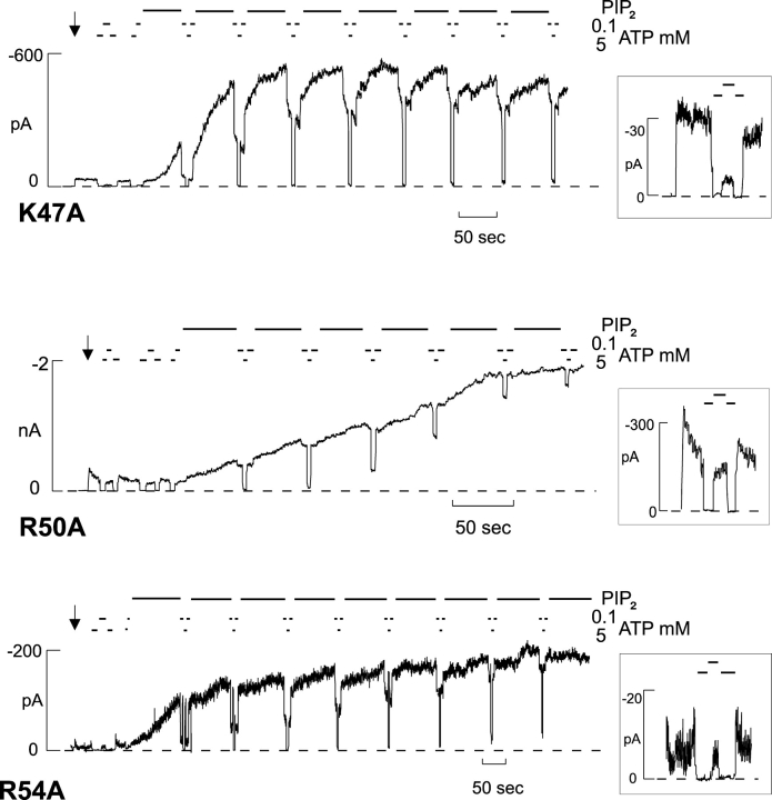 Figure 3. 