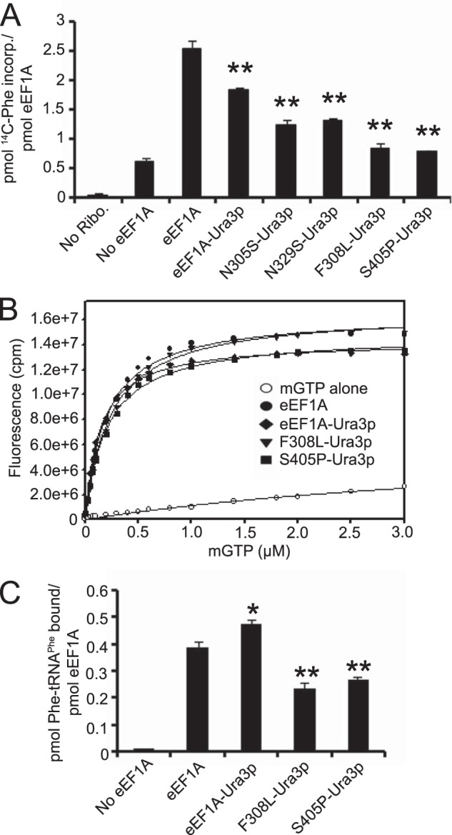 FIGURE 4.