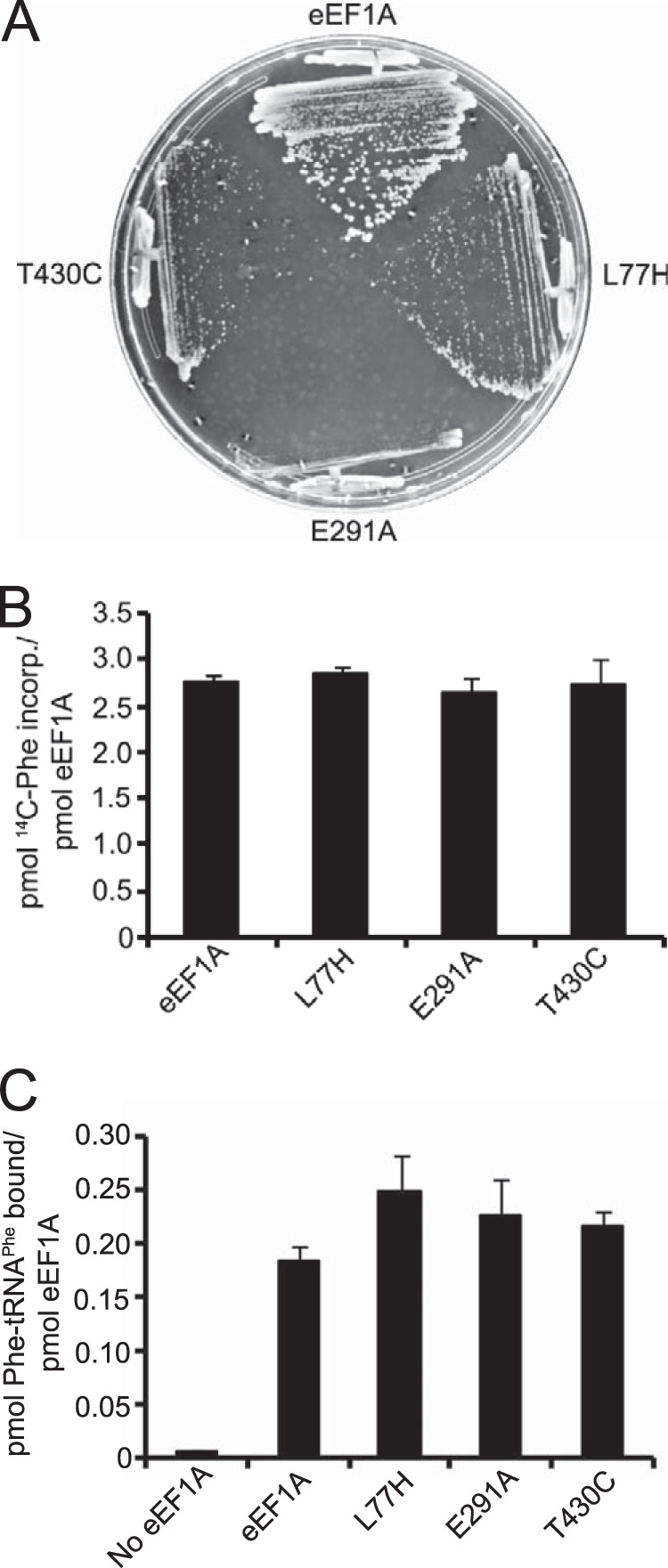 FIGURE 6.