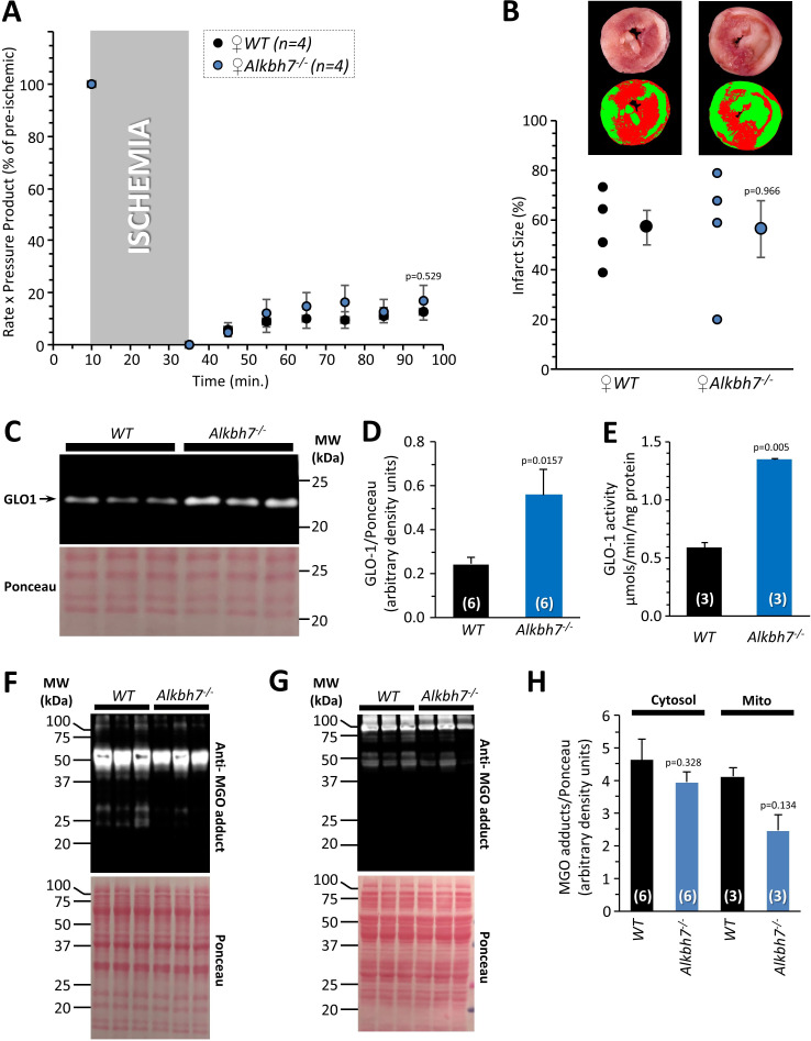 Figure 4—figure supplement 1.