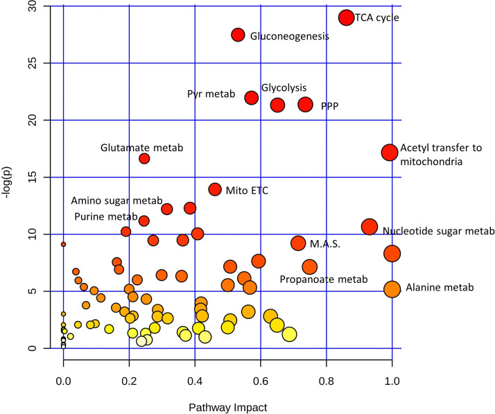 Figure 3—figure supplement 1.