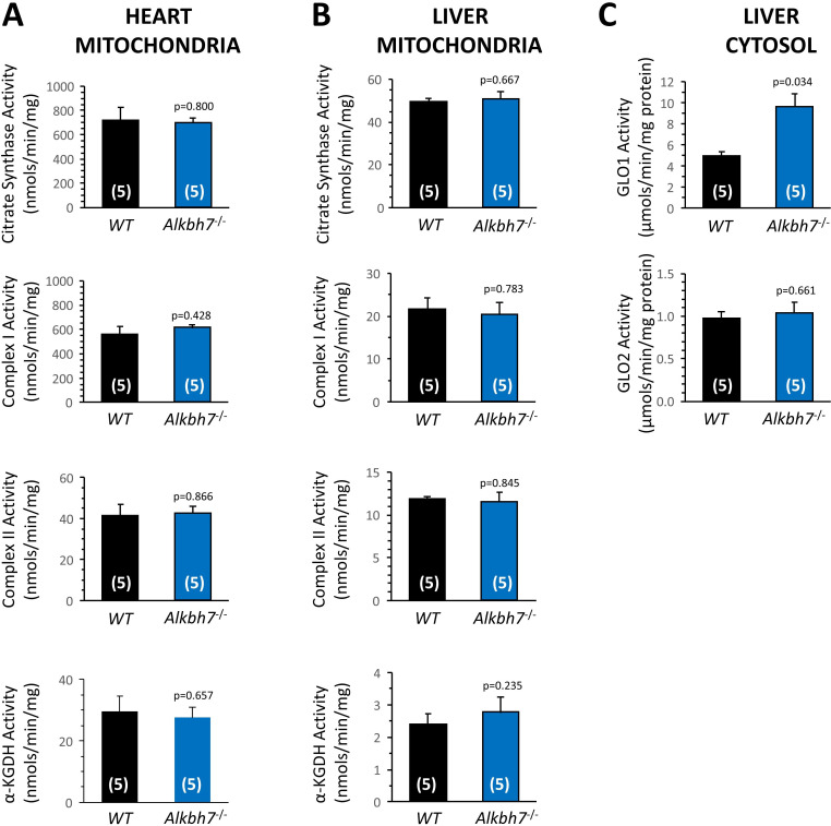 Figure 2—figure supplement 2.