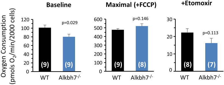 Figure 1—figure supplement 2.