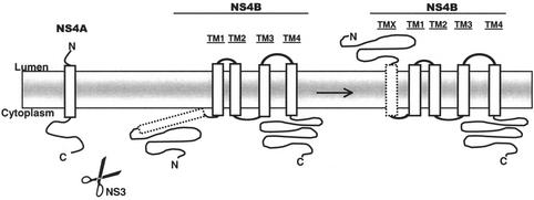 FIG. 9.