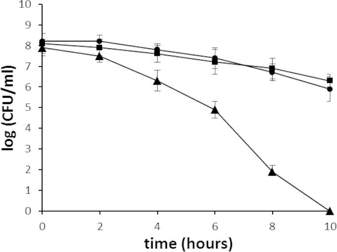 FIG 2