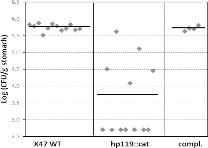 FIG 3