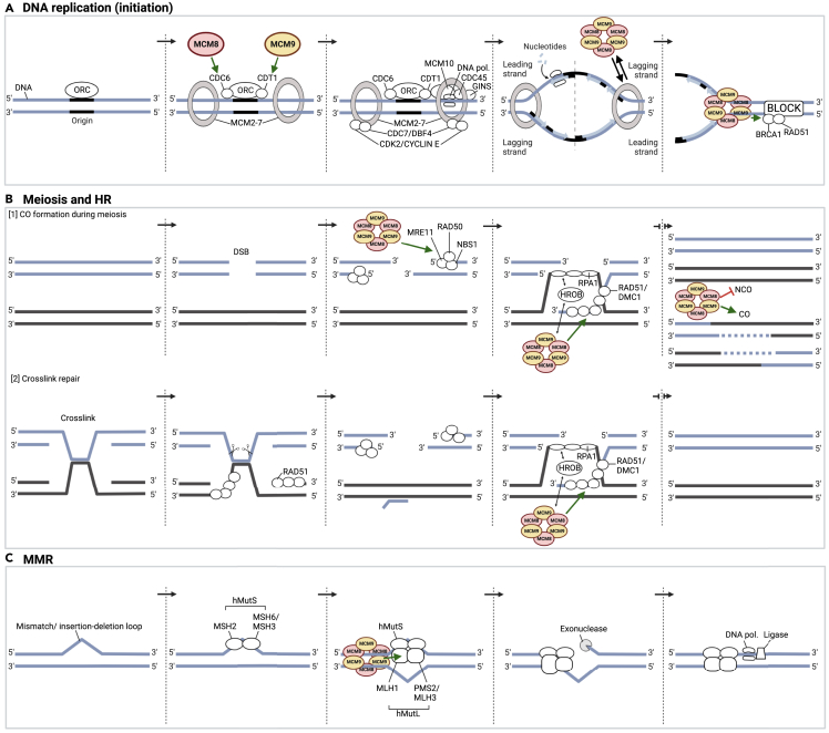 Figure 1