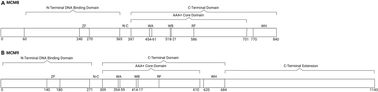 Figure 2