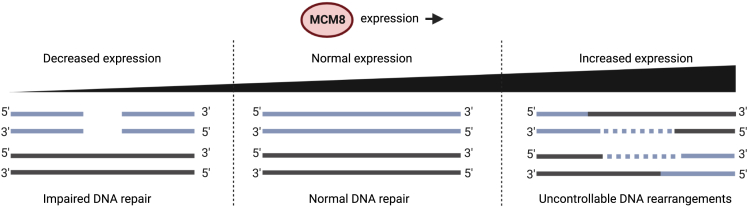 Figure 3