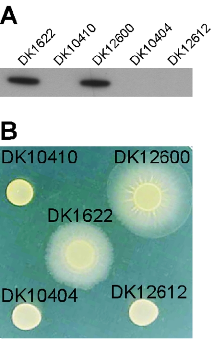 FIG. 2.