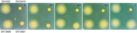 FIG. 5.