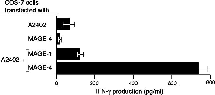 Fig. 3