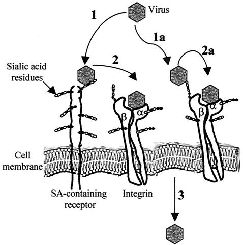 FIG. 5.