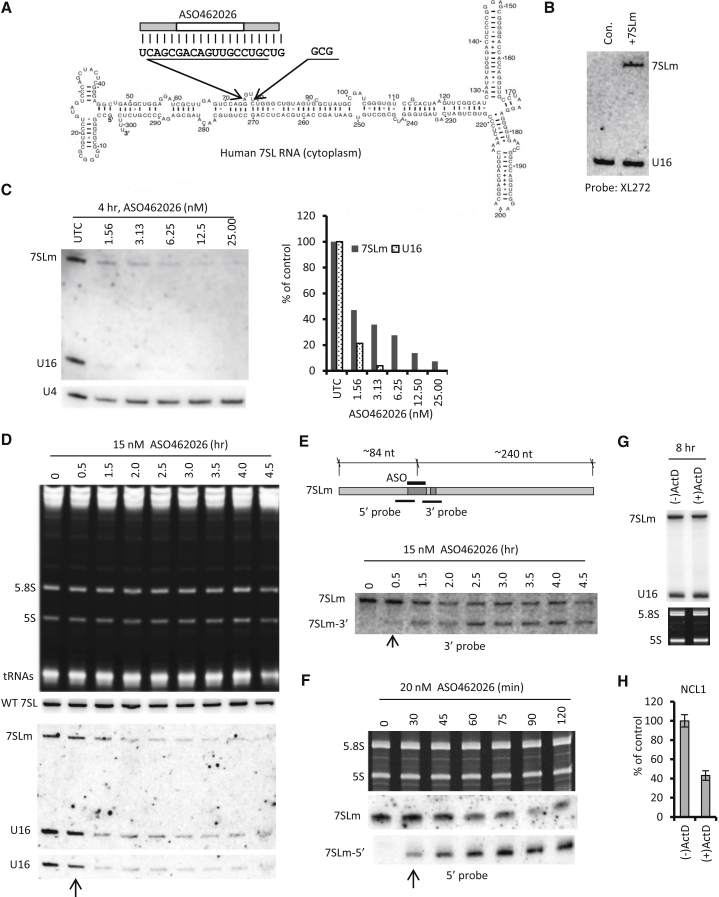 Figure 7