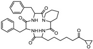 graphic file with name nutrients-10-00731-i015.jpg