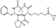 graphic file with name nutrients-10-00731-i014.jpg