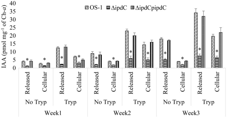 FIGURE 4