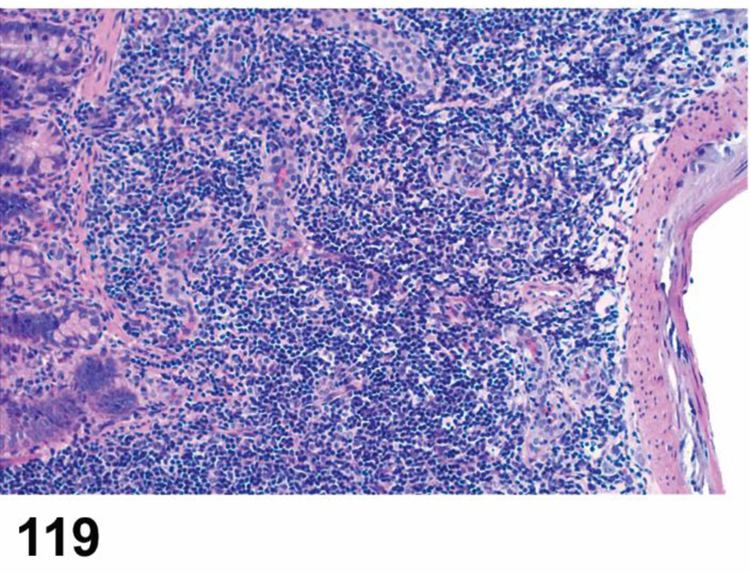 Figure 119.