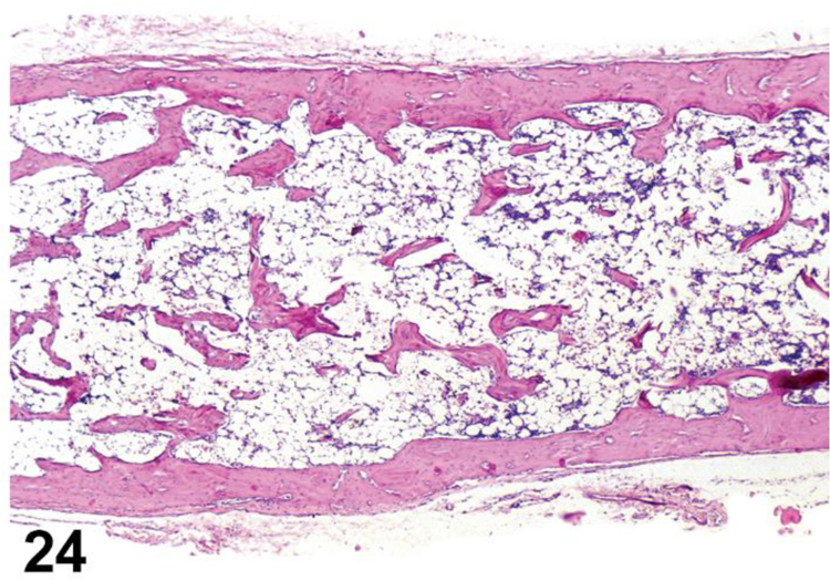 Figure 24.