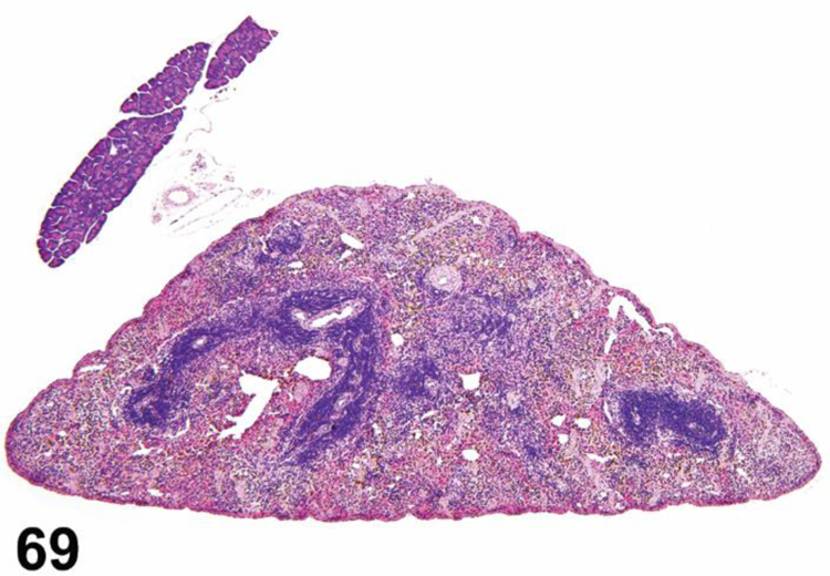 Figure 69.