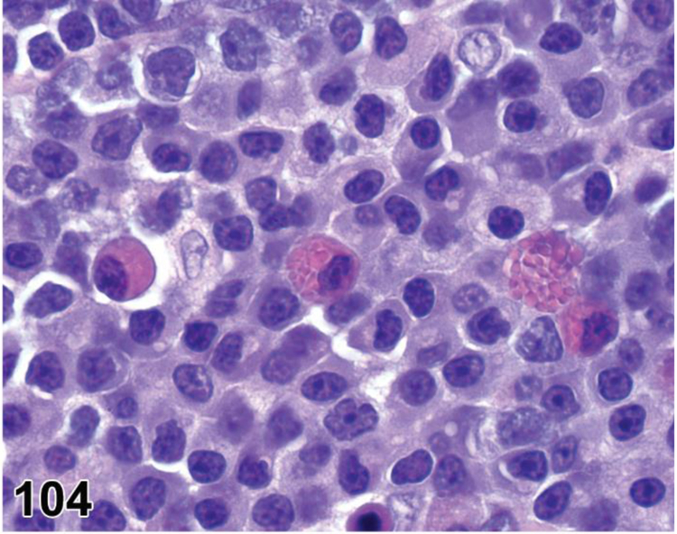 Figure 104.